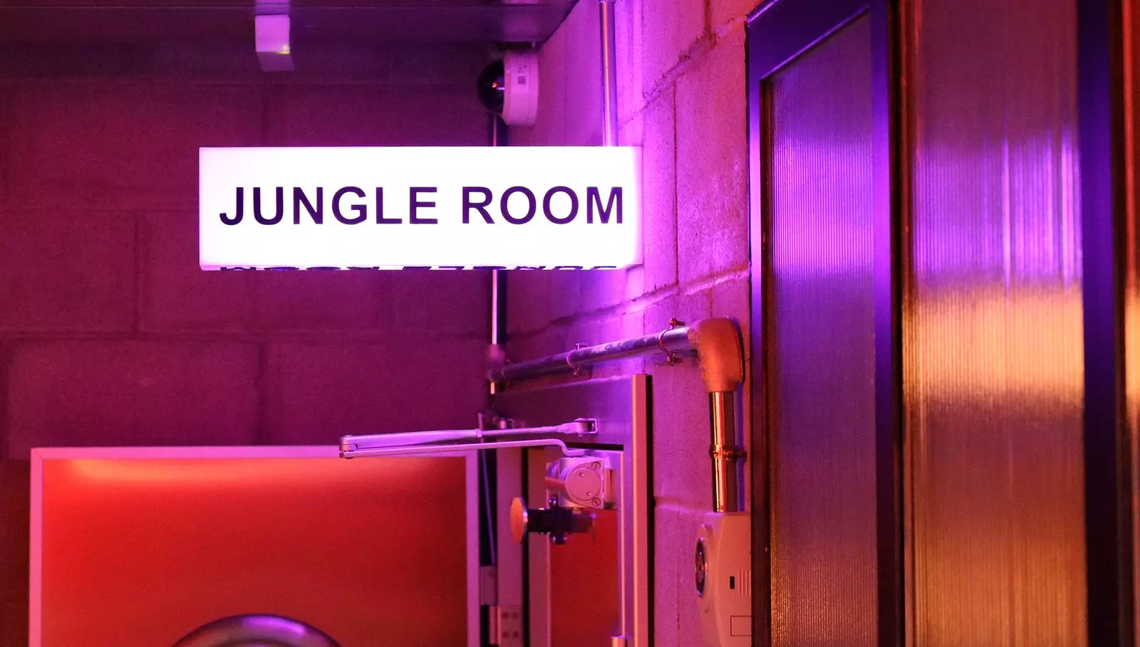 ClubHaus-da JUNGLE ROOM