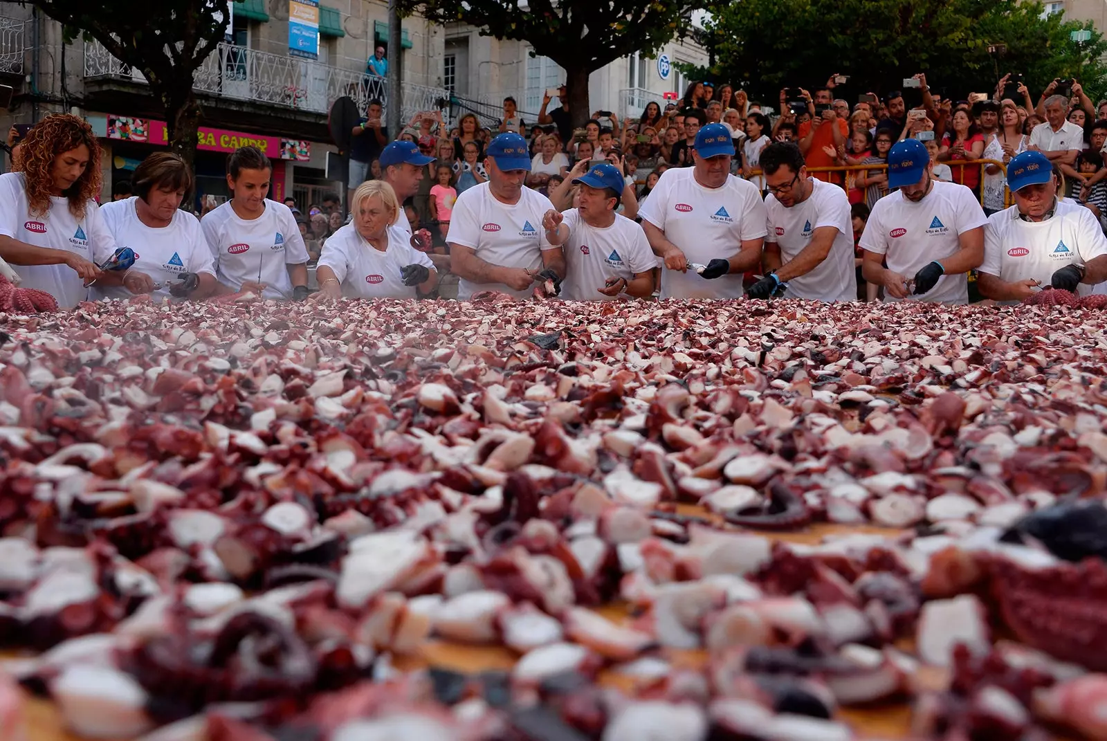 Sagra del polpo a O Carballiño