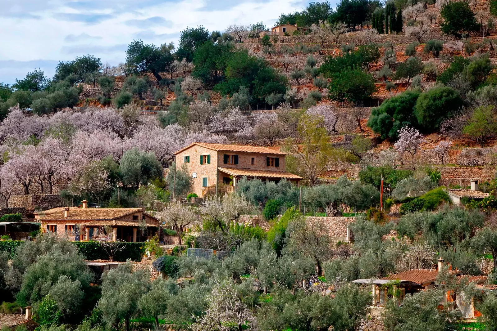 Mallorca Fornalutx