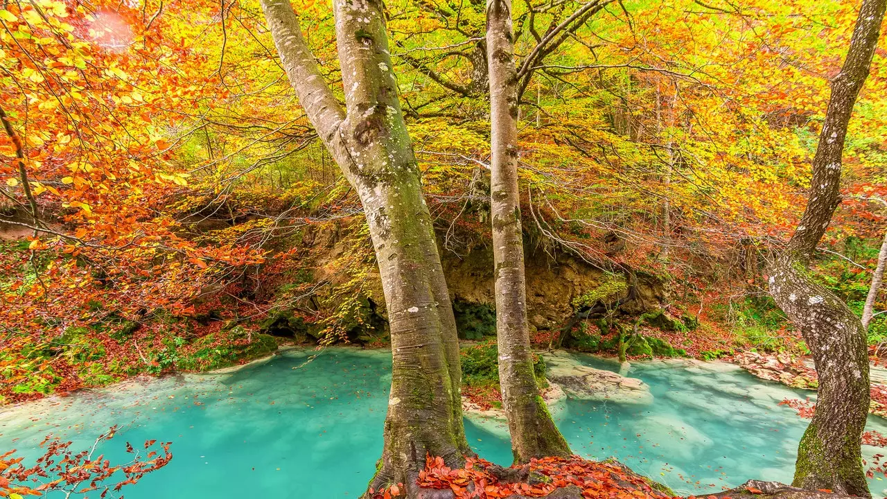 Navarra in autunno: il paradiso del colore e del sapore