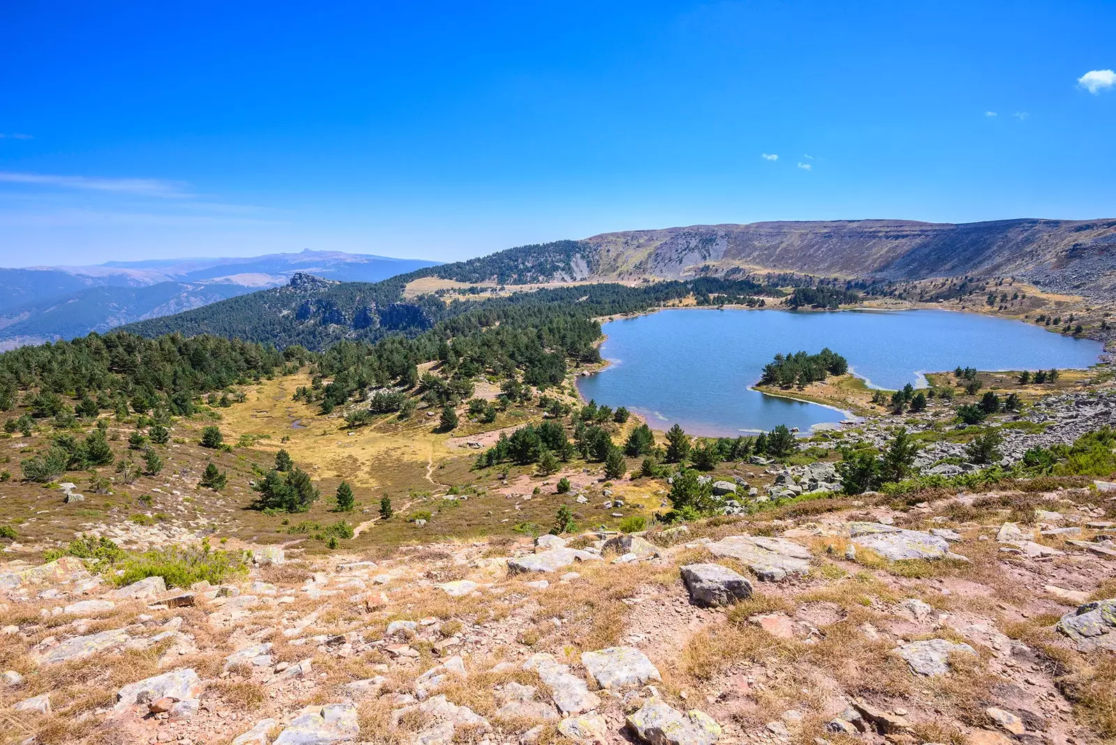 Região de Pinares