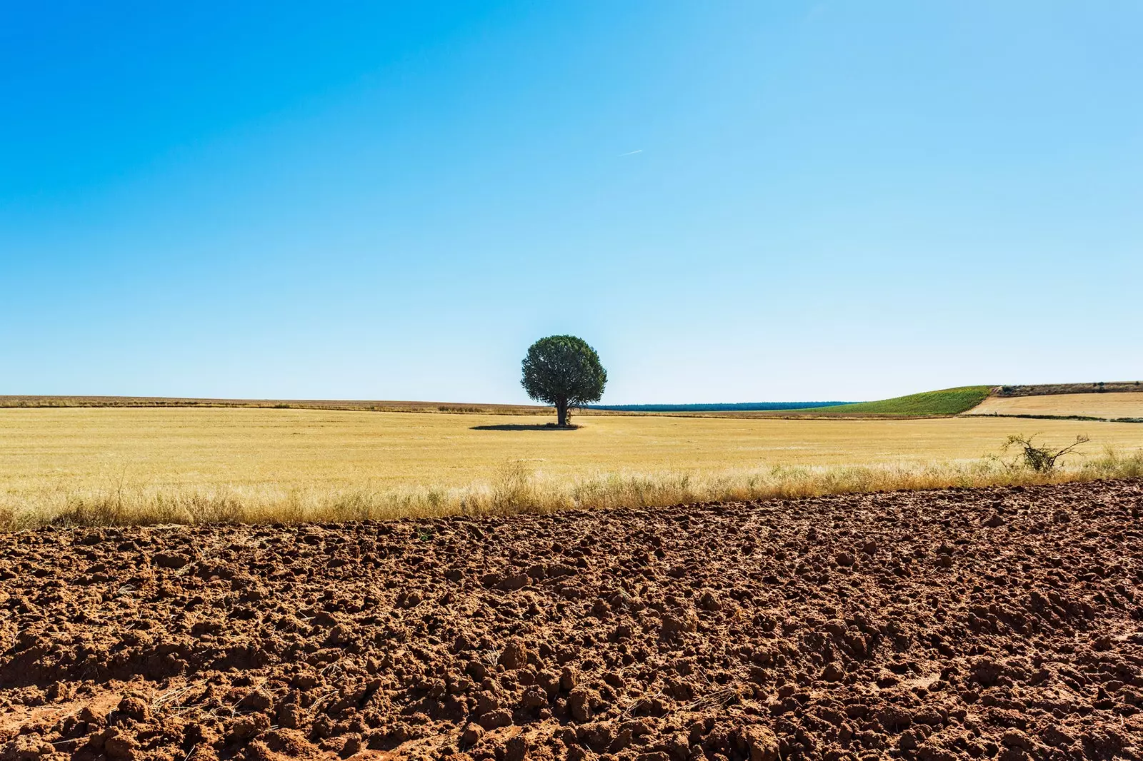 Soria ve vlaku, který projíždí inspirací Machada