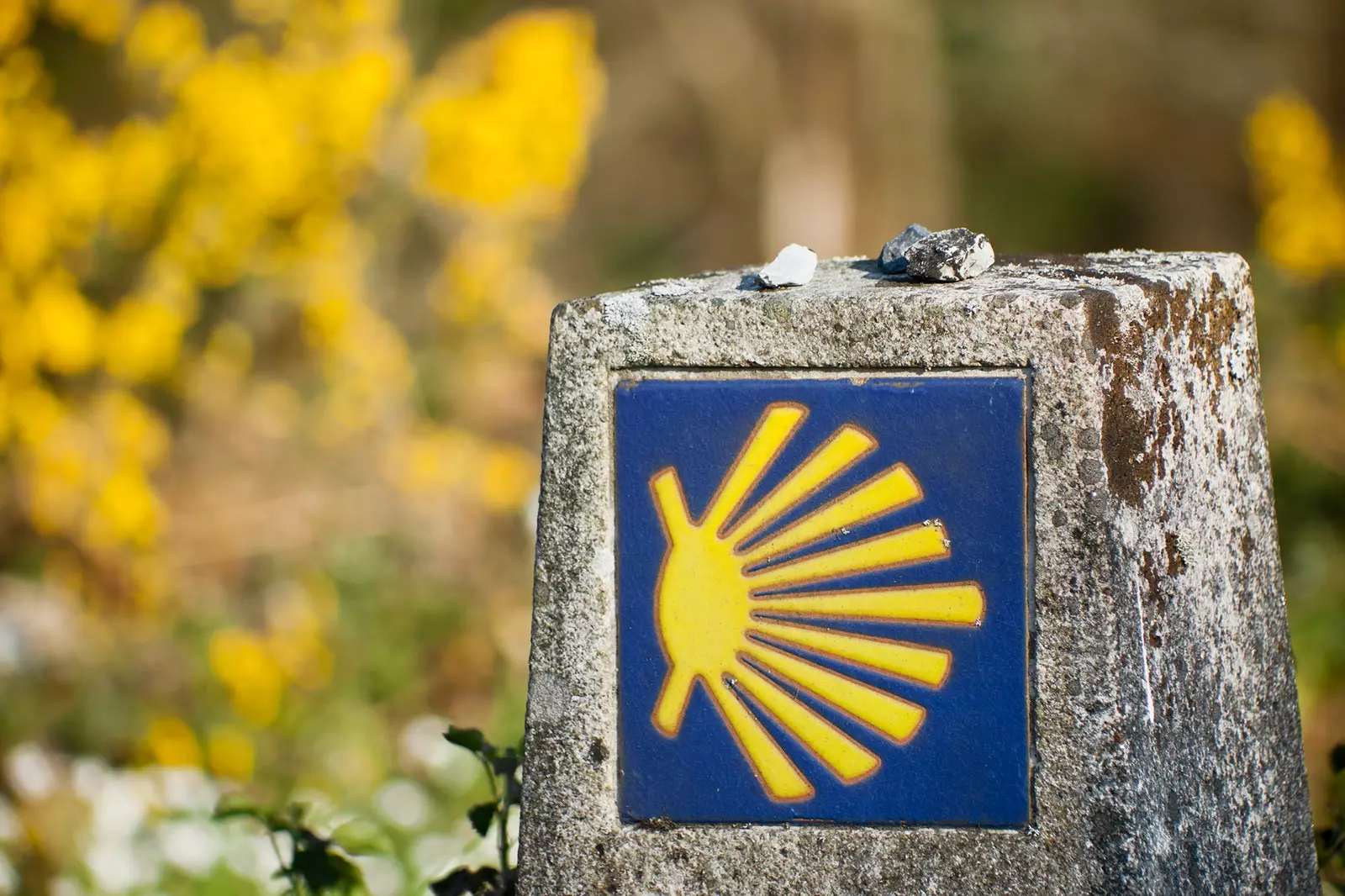 De Camino de Santiago elo op Schinne d'Touristenzich vu Galicia Premiere Streck