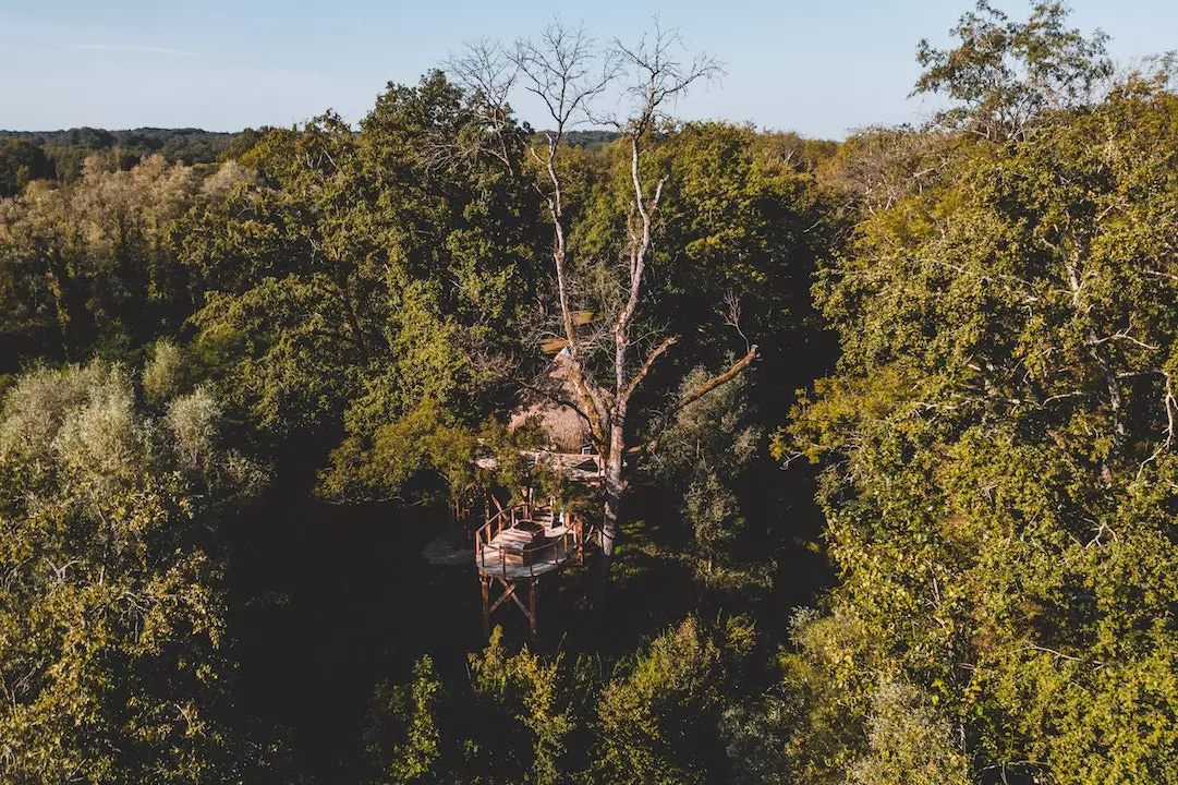 Coucoo huts hide in the treetops