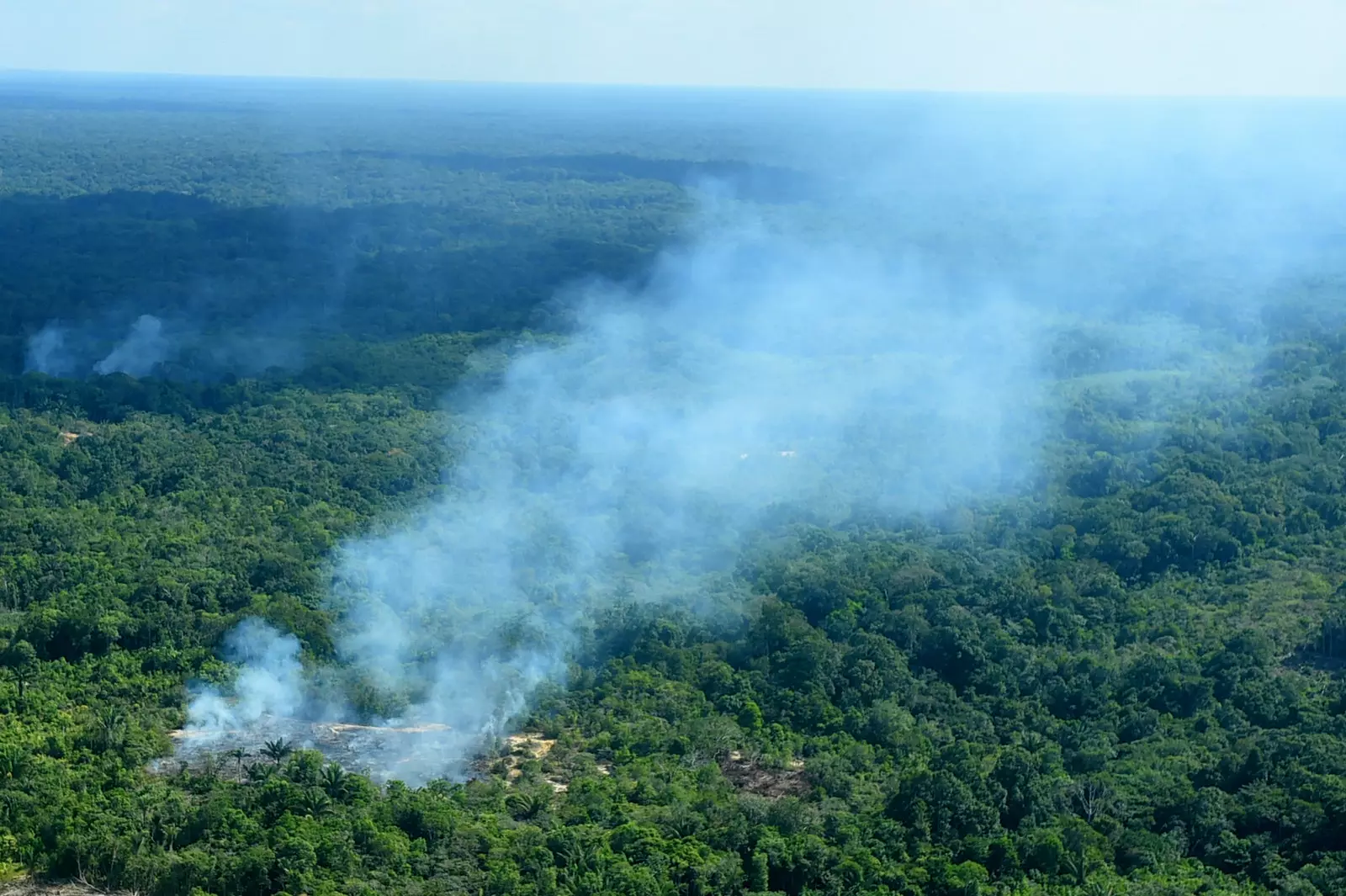 Amazonas