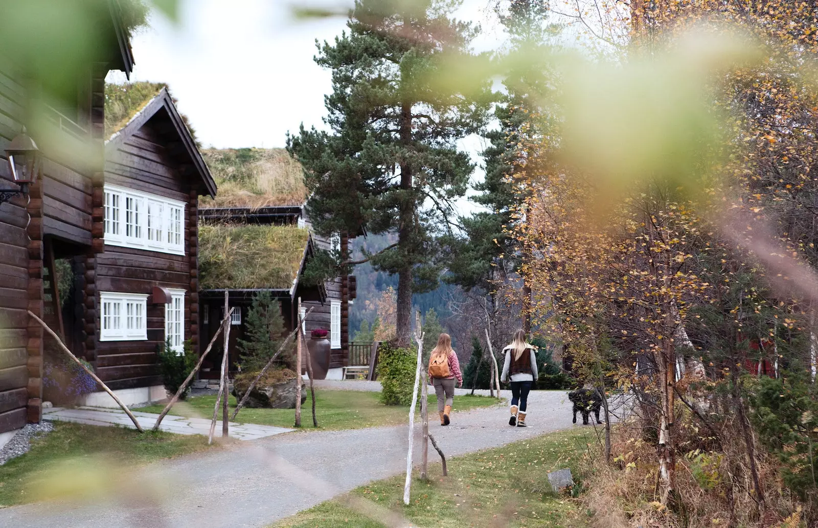 Hotel Storfjord Sunnmøre Norge