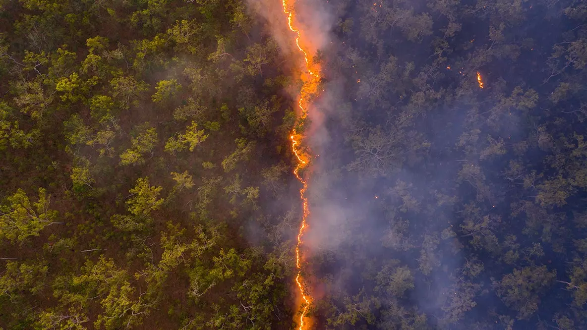 Javnost je progovorila: ovo je najbolji fotograf divljine godine