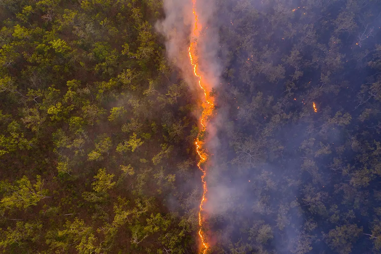 Bushfire Robert Irwin Yılın Yaban Hayatı Fotoğrafçısı