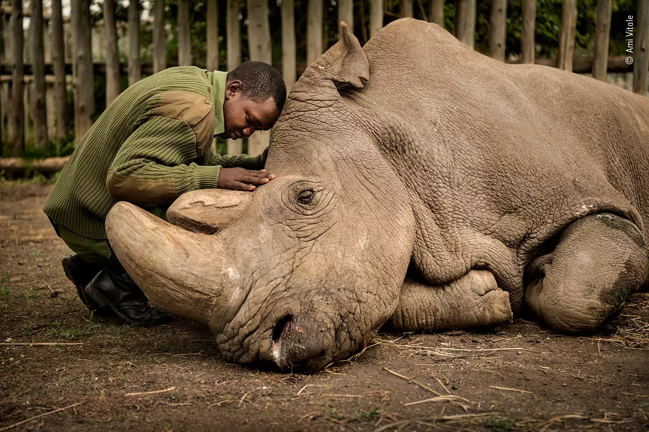 The last goodbye Ami Vitale Wildlife Photographer of the Year