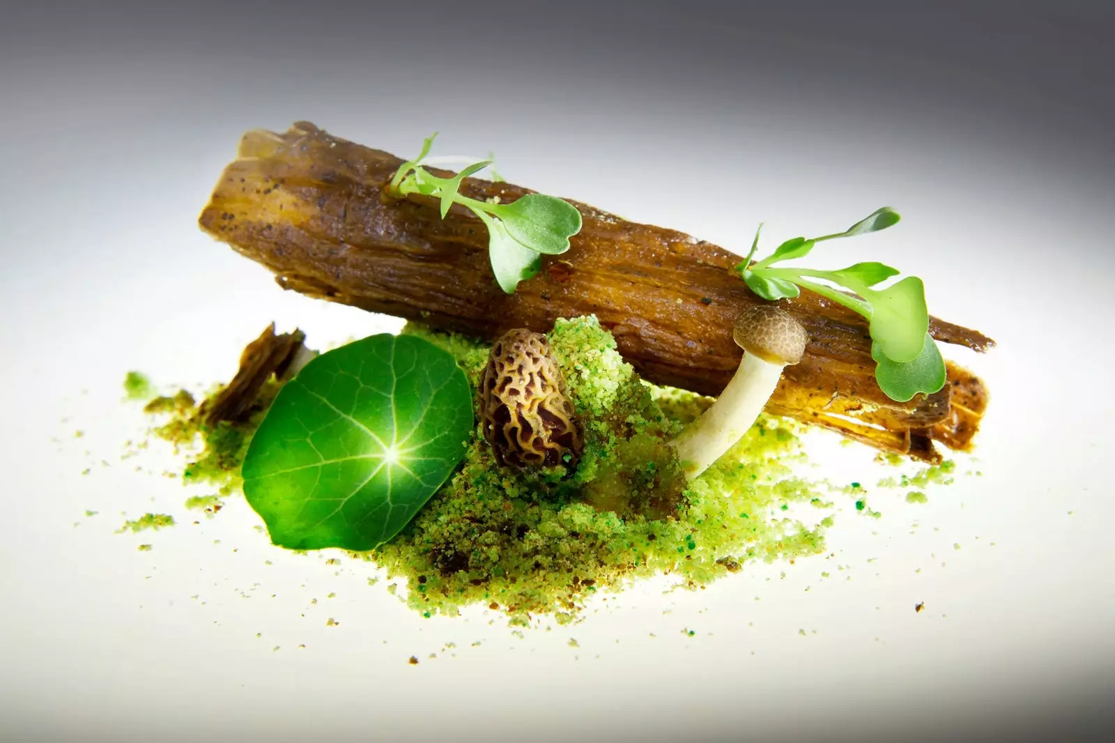 Gaggan's Magical Mushroom