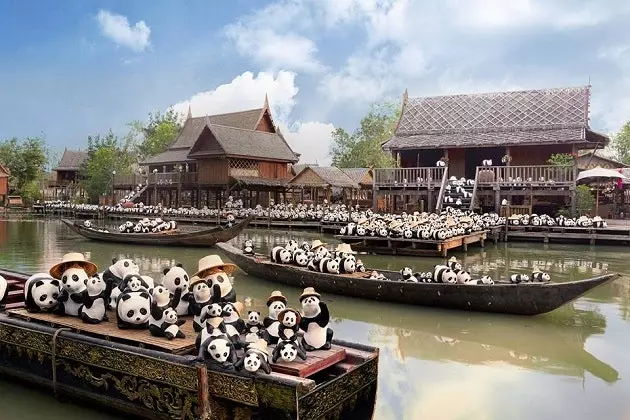 1.600 pandas viajam pelo mundo por uma boa causa há oito anos