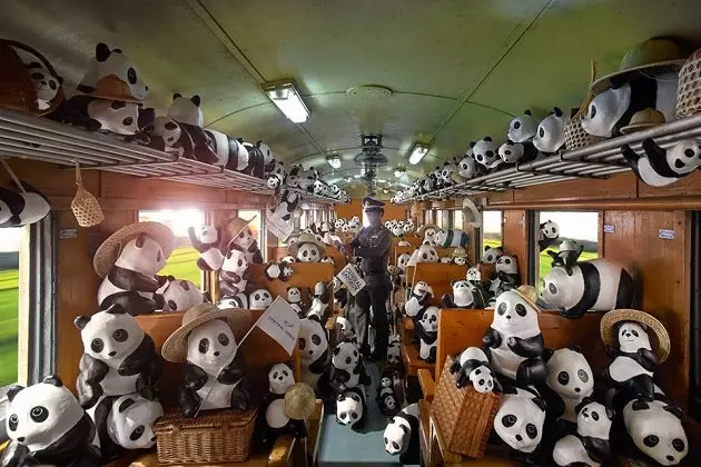 1.600 pandas viajam pelo mundo por uma boa causa há oito anos