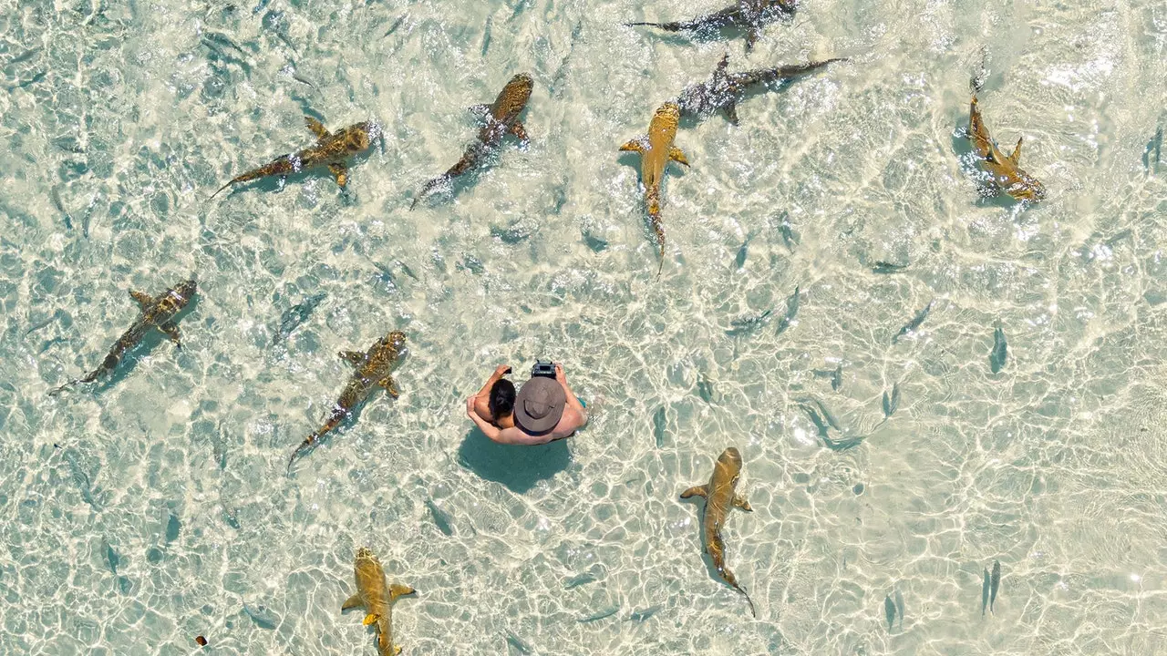 Aqsam il-fruntieri u tbaħħar oċeani ċari kristall b'filmat dwar Raja Ampat