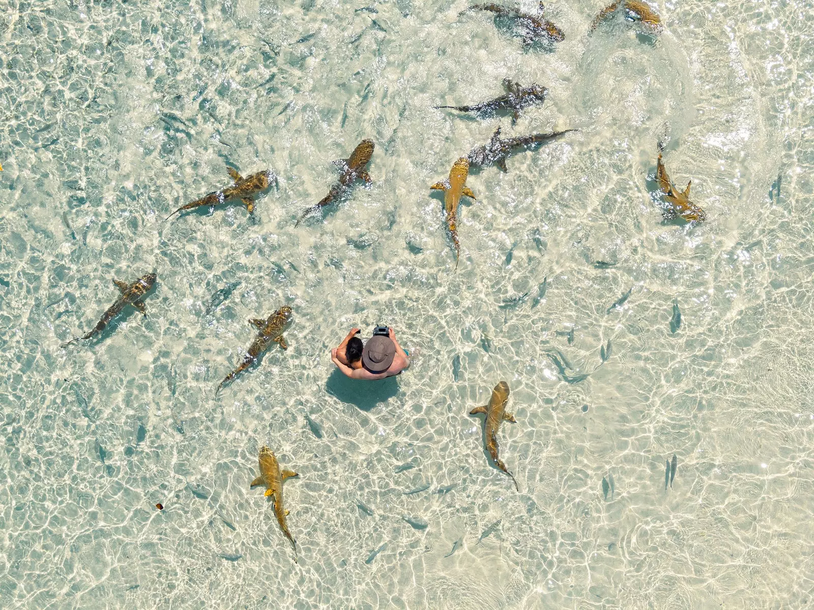 Cúpla san fharraige i Raja Ampat