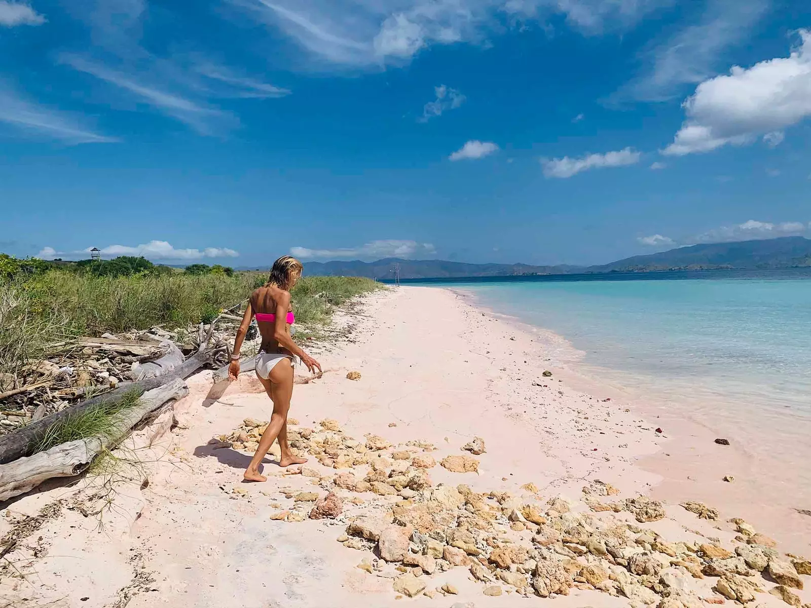 osiride sulla spiaggia rosa