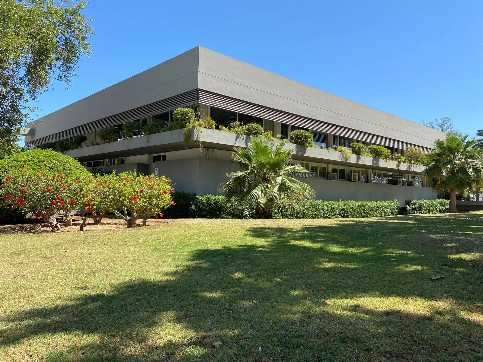 Palma Oceanografiske Institut.