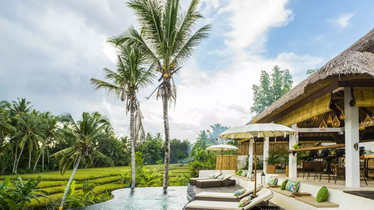 Tenang Ubud: tempat perlindungan di Bali tempat semua pengaruh mahu pergi