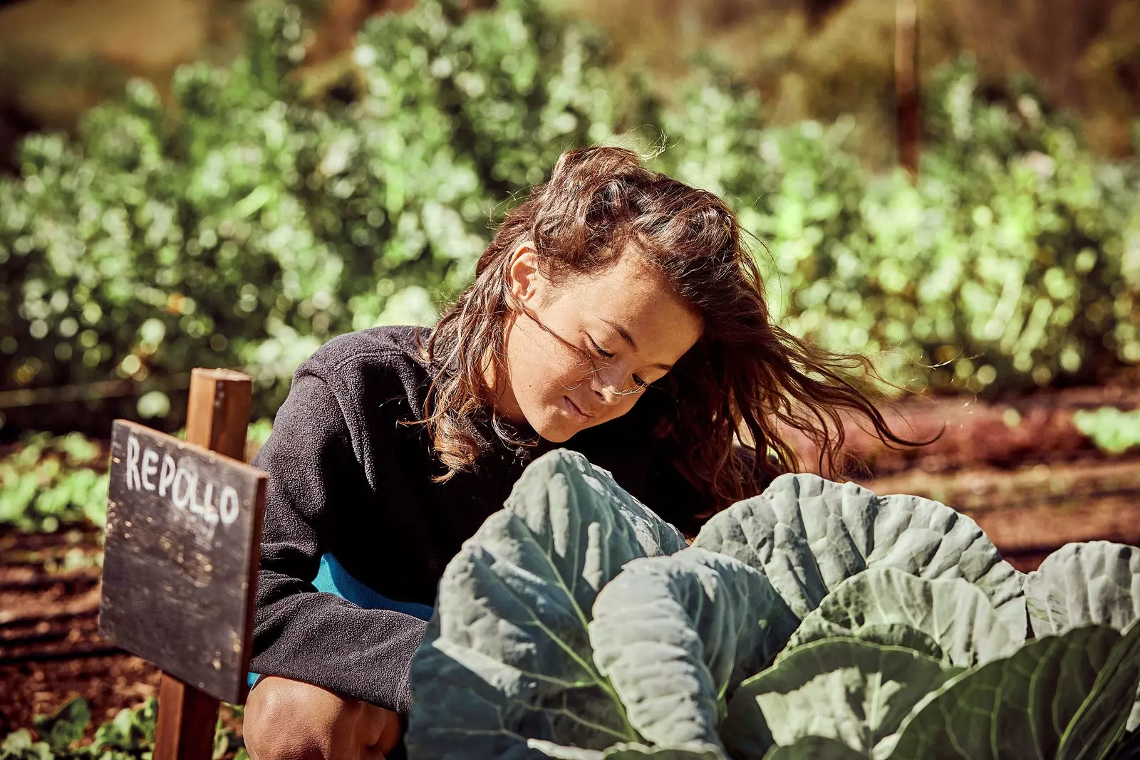 Biodynamická Dehesa