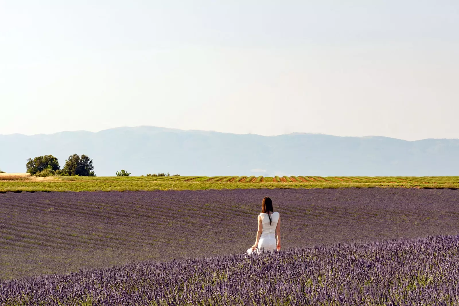 A është Toscana, Provence, A nuk është Alcarria?