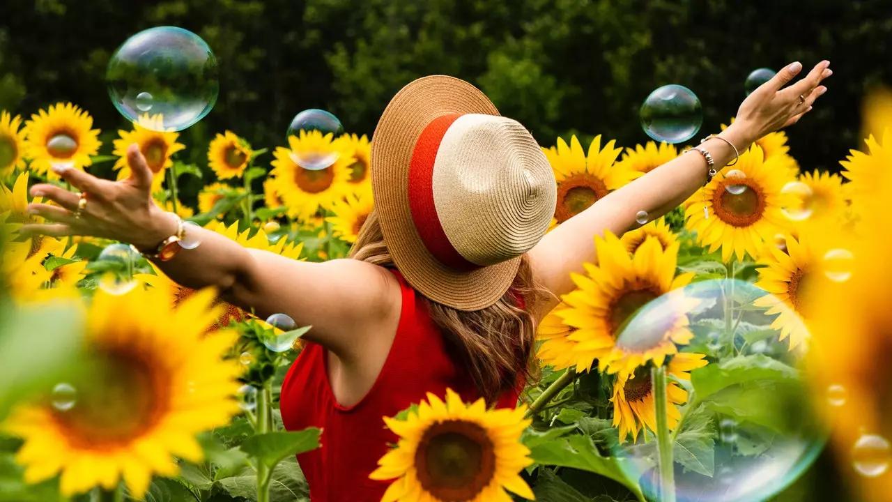 The Ruta del Sol, or the sunflower, or the spring photon that everyone wants in Córdoba and Seville