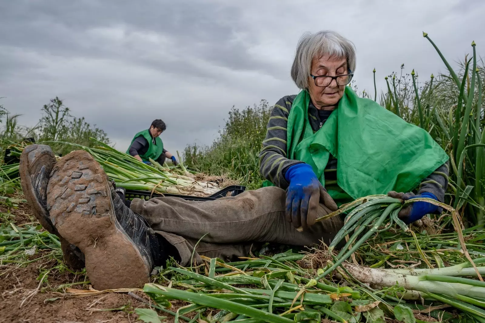 Tá 600 oibrí deonach san iomlán ag Espigoladors