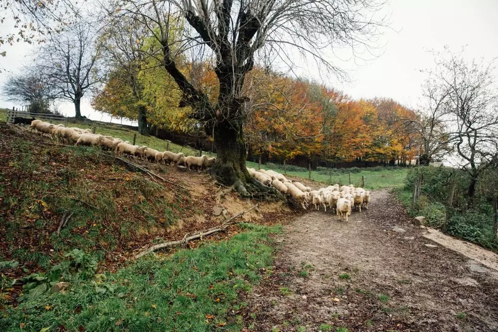 Prêt à commencer la route à travers Irati