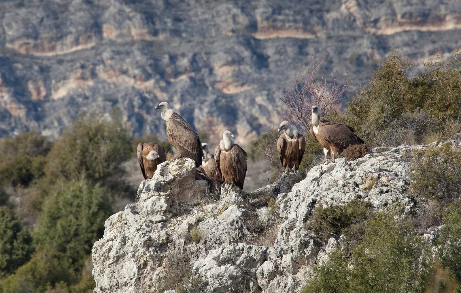 Excursie prin Hoces del Río Duratón