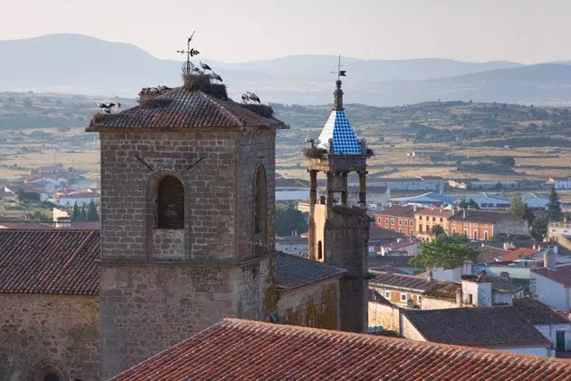 Cigognes les reines de Trujillo