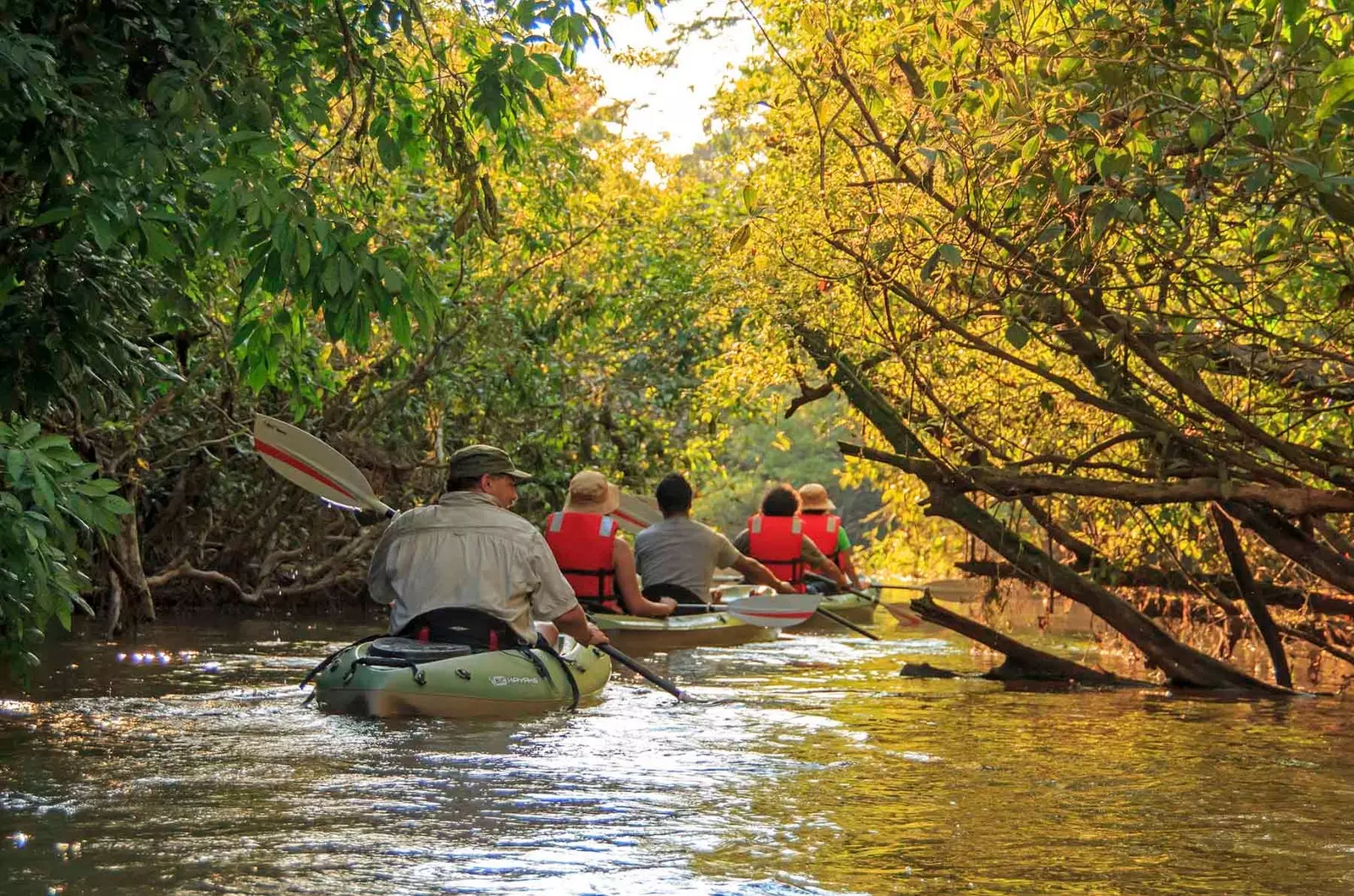 kayak amazon