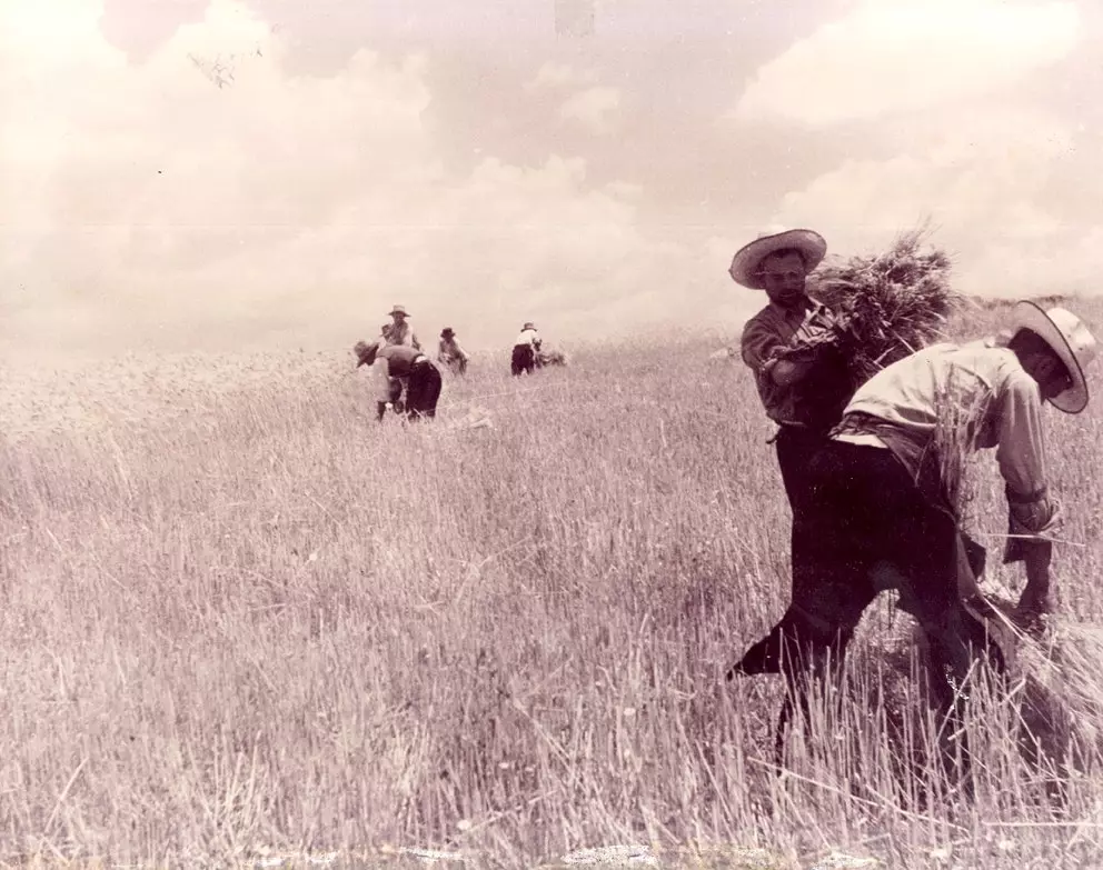 Foto histórica dos trabalhadores da Finca Pascualete