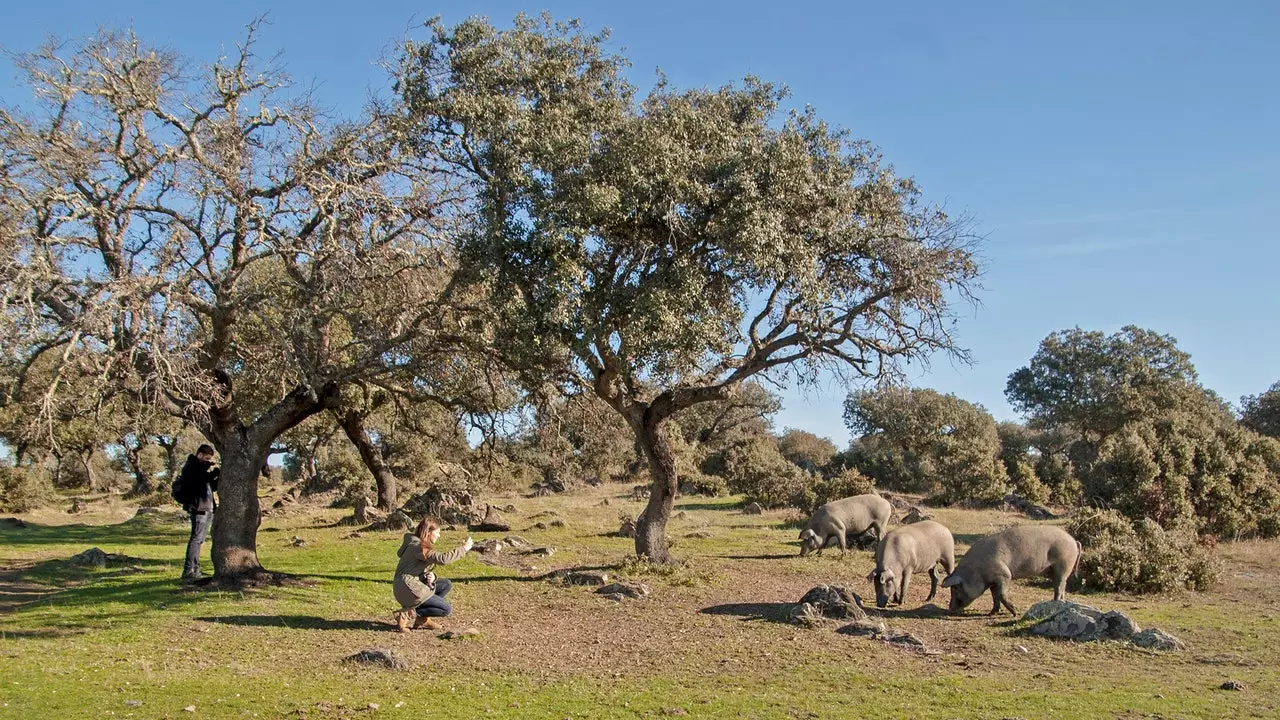 Montánchez-Tamuja, hala bilmediğin o küçük Extremadura parçası