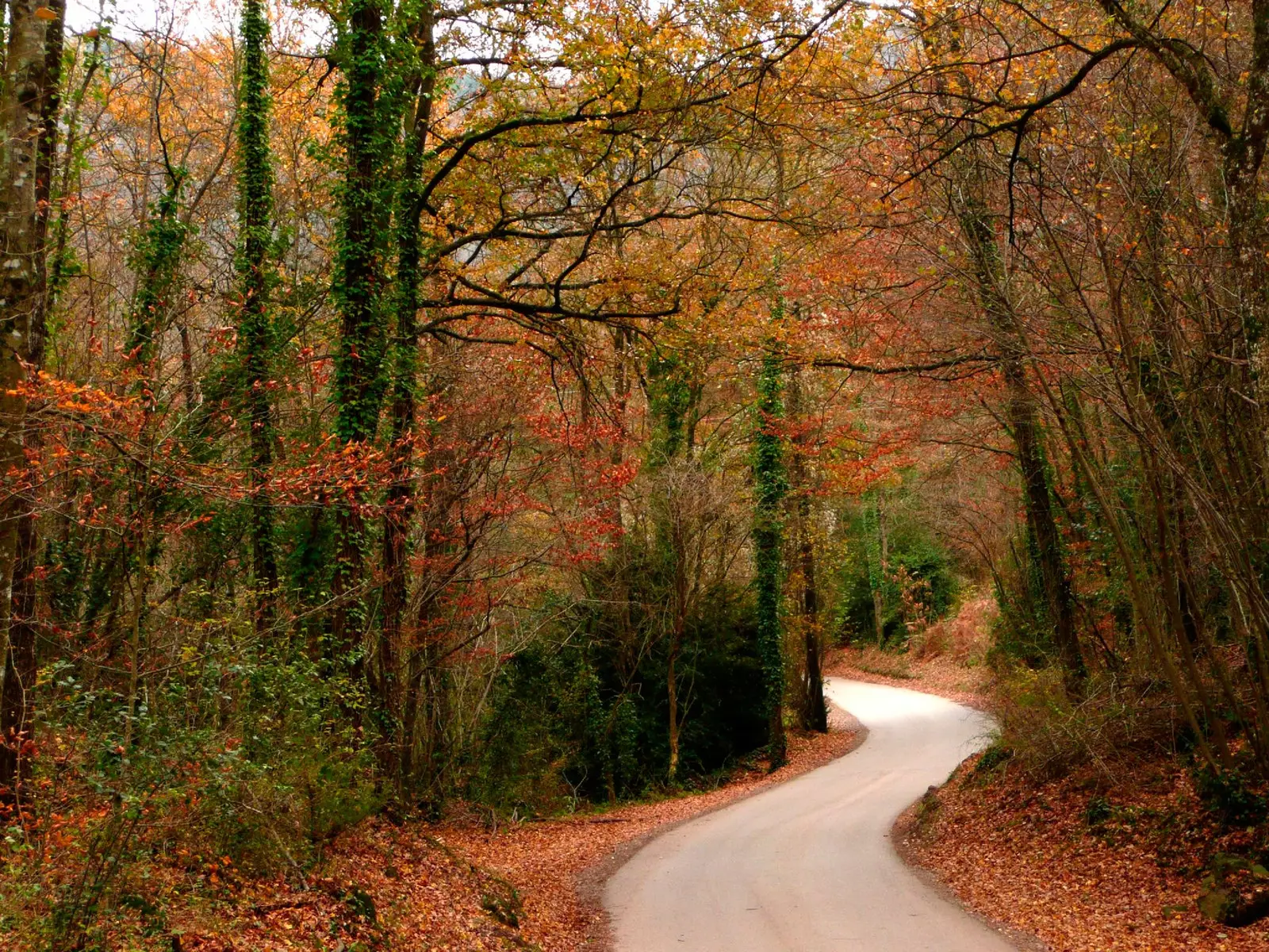 Fageda den Iordá