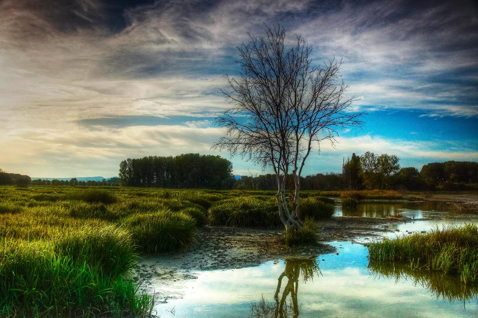 Salburua Park Vitoria Gasteiz Баск елі