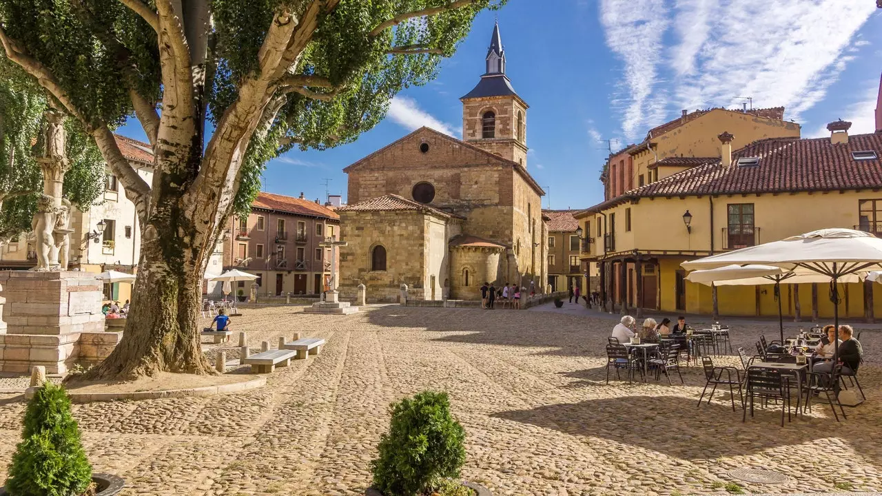 León għal dawk li diġà jafu lil León