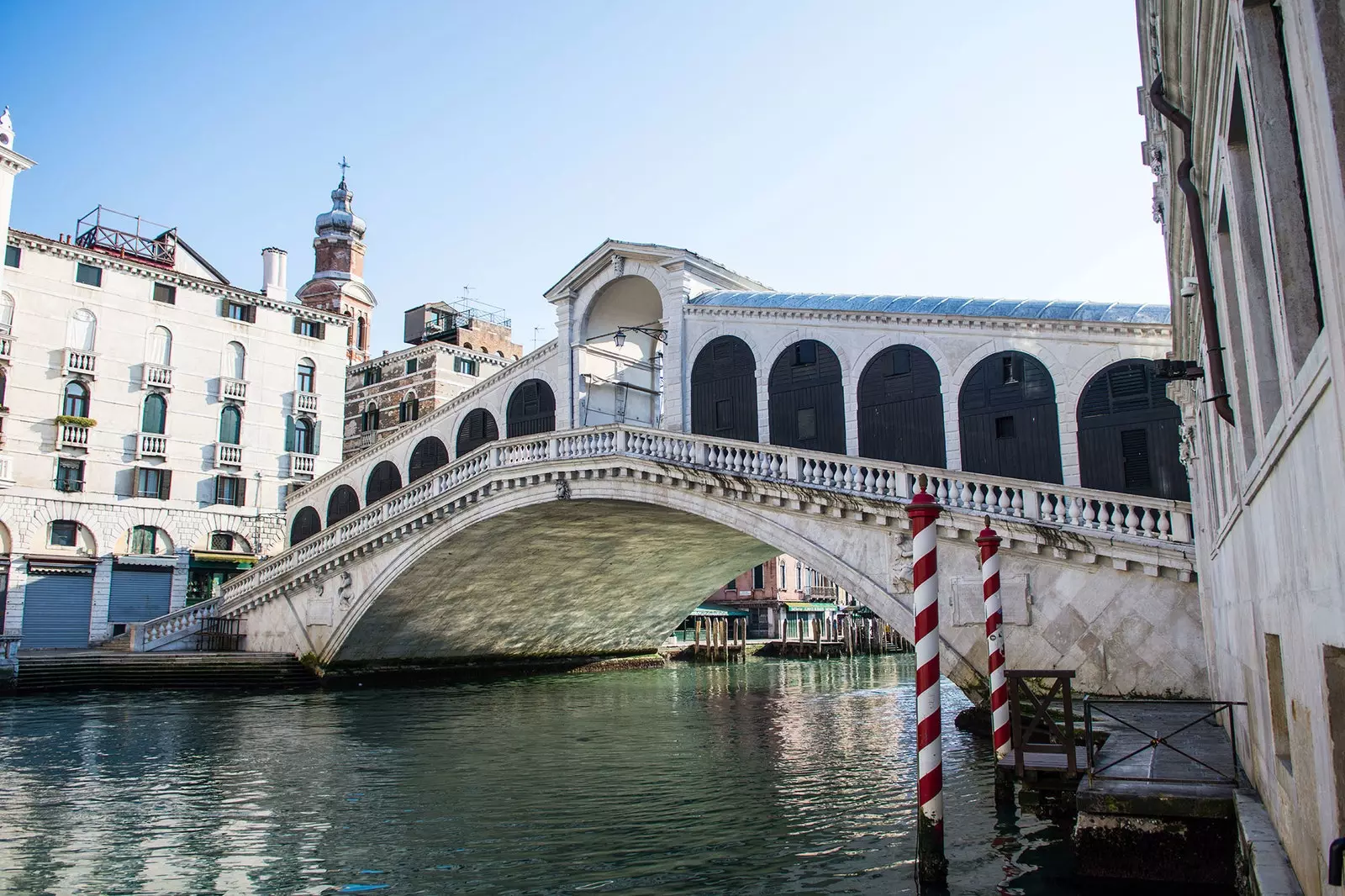 Swans na pomboo kwenye mifereji ya Venice?