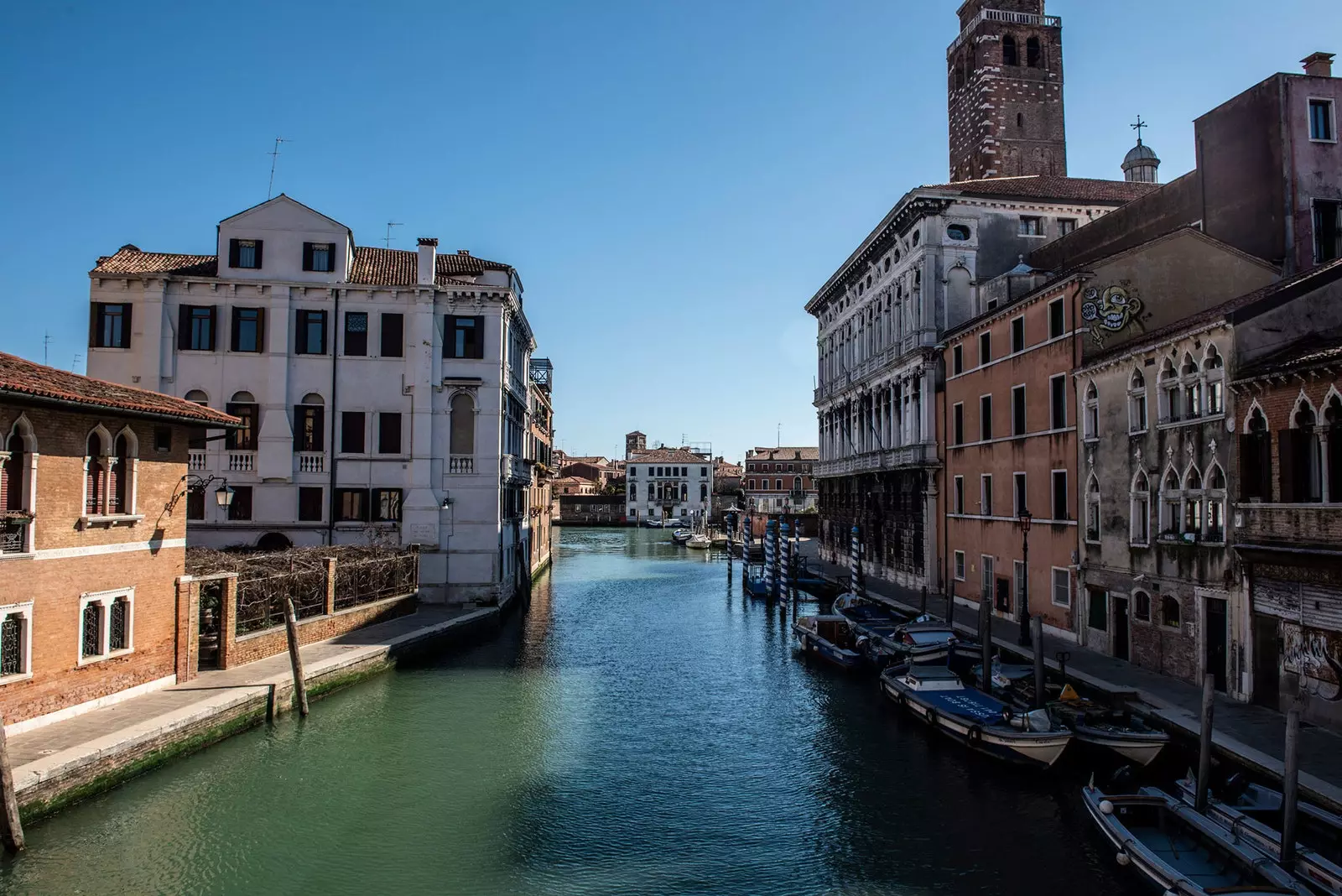 Verken delfiner eller svaner i Venezia