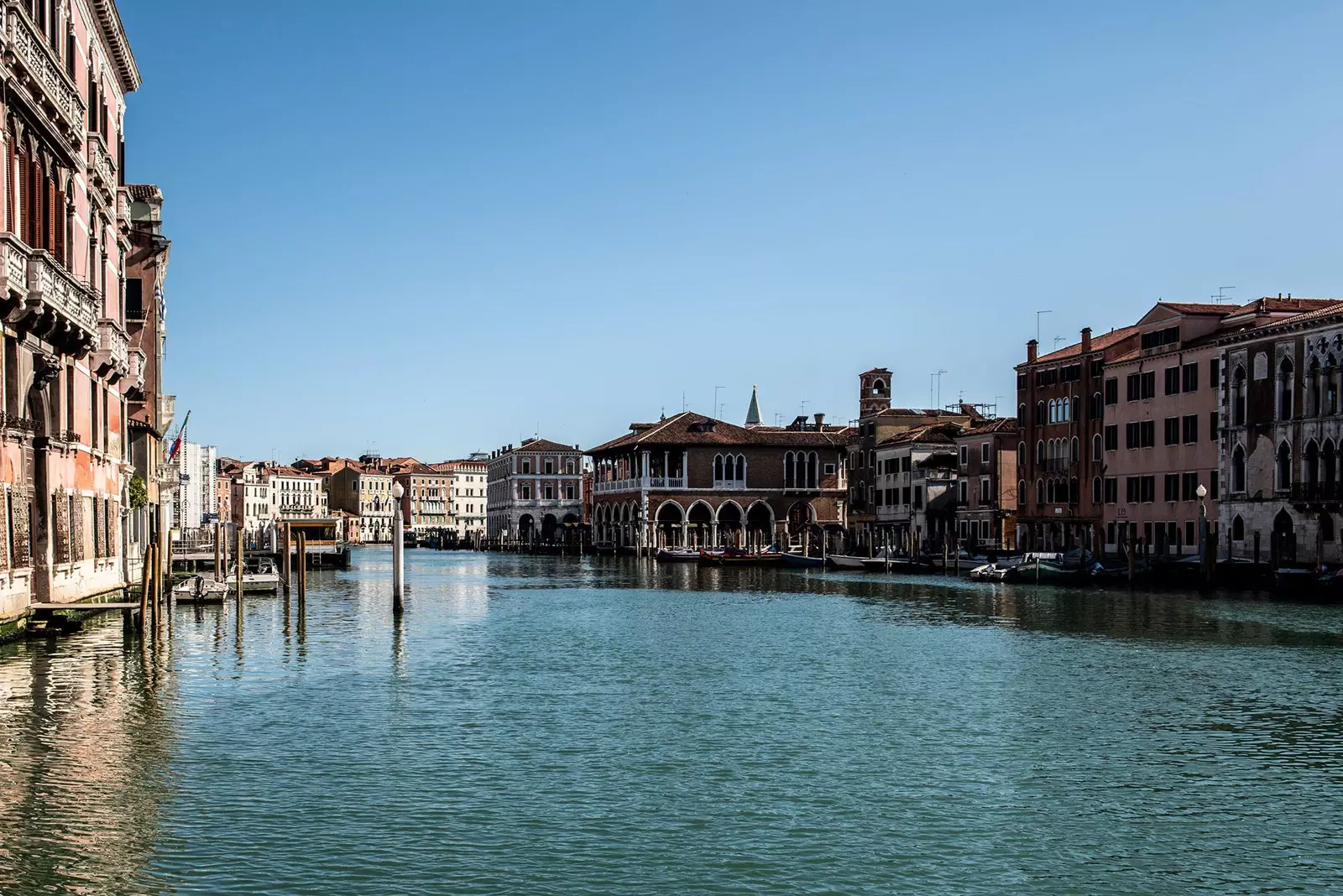 Il n'y a ni cygnes ni dauphins à Venise. Oui à Burano et en Sardaigne