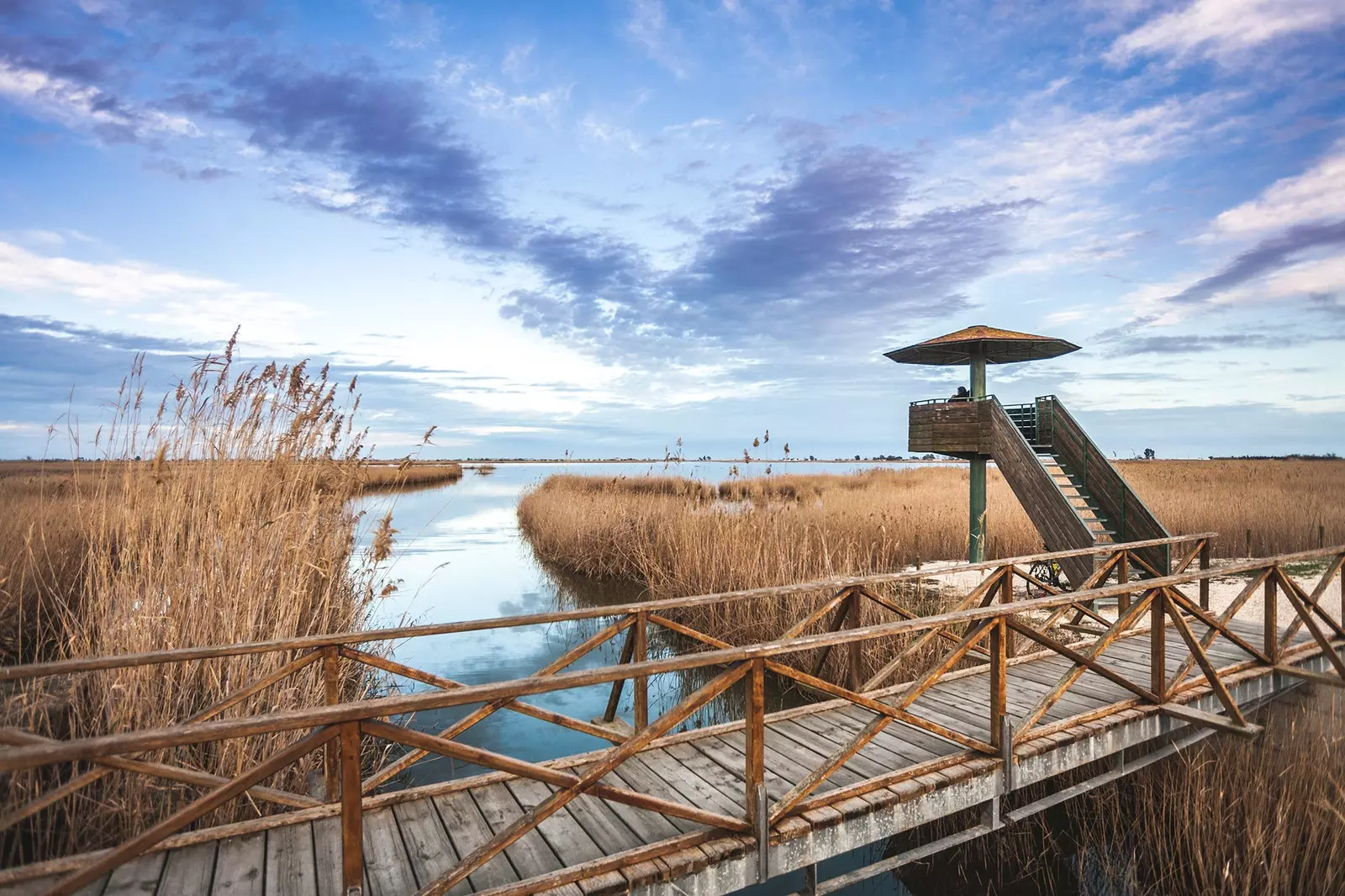 Delta de l'Ebre