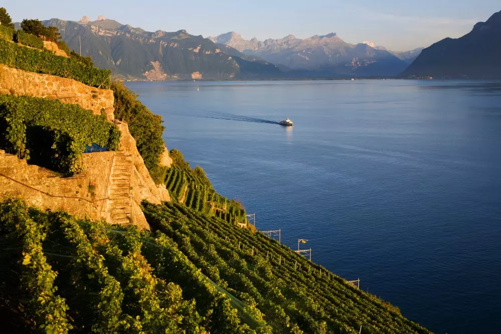 Os vinhedos de Lavaux, a uma hora de Genebra, são Patrimônio da Humanidade.