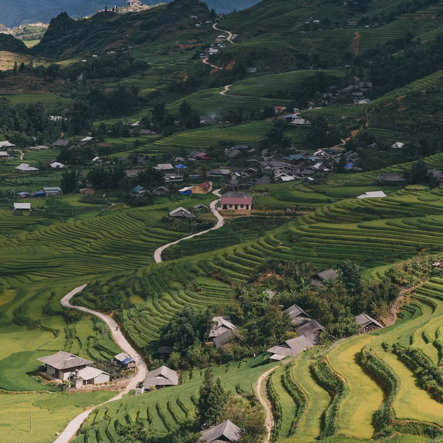 TextileSeekers Vietnam vēlas, lai jūs apmeklētu lēnām