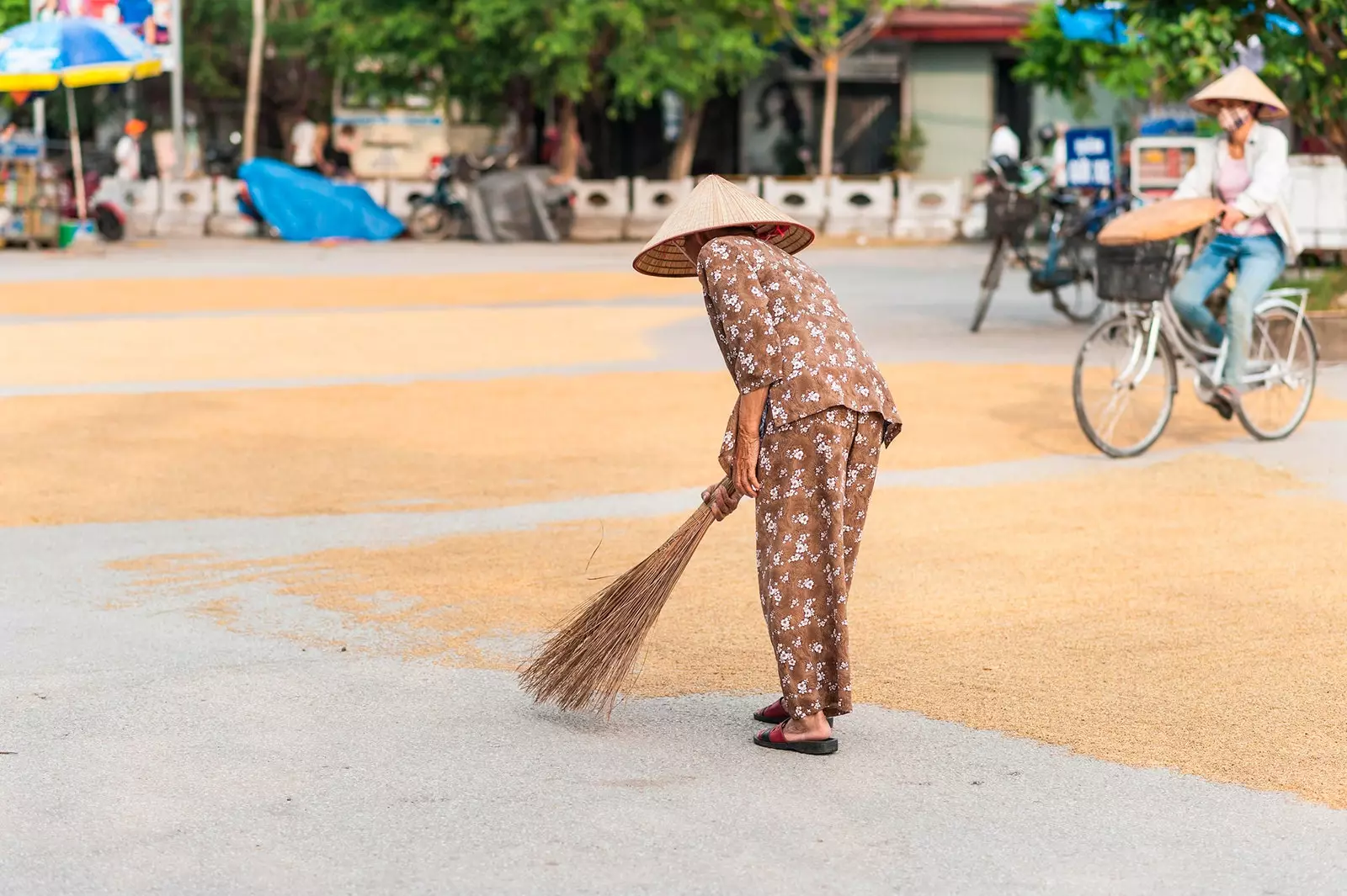 Hvorfor forsvinningen av ris fra gatene i Vietnam er store nyheter