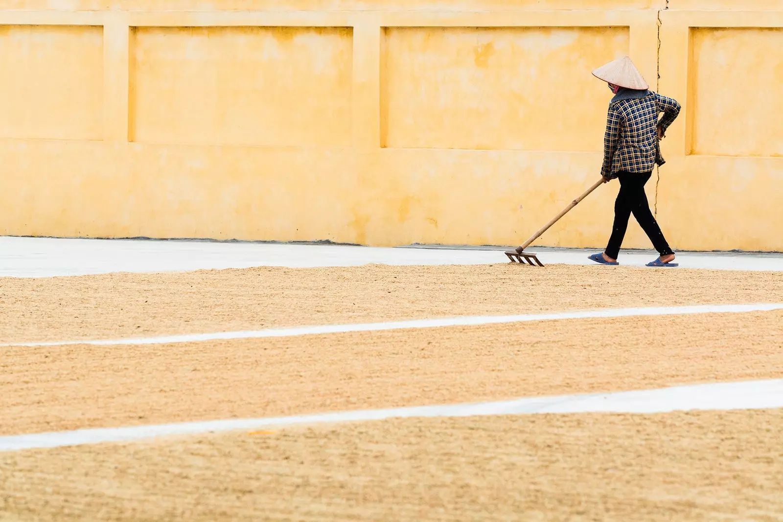 Rice drying on the streets of Vietnam