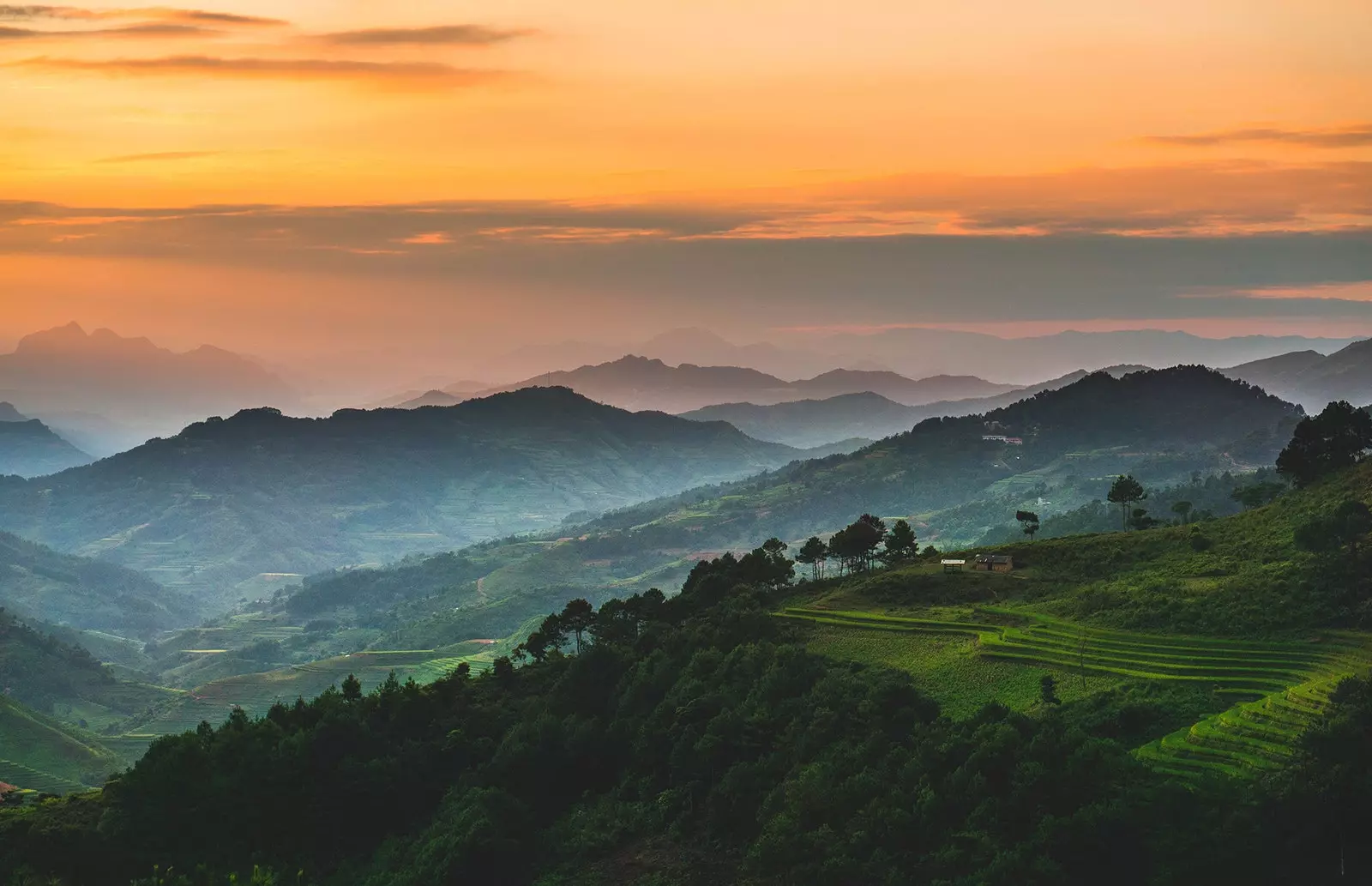 Sapa je beskonačno polje pirinča