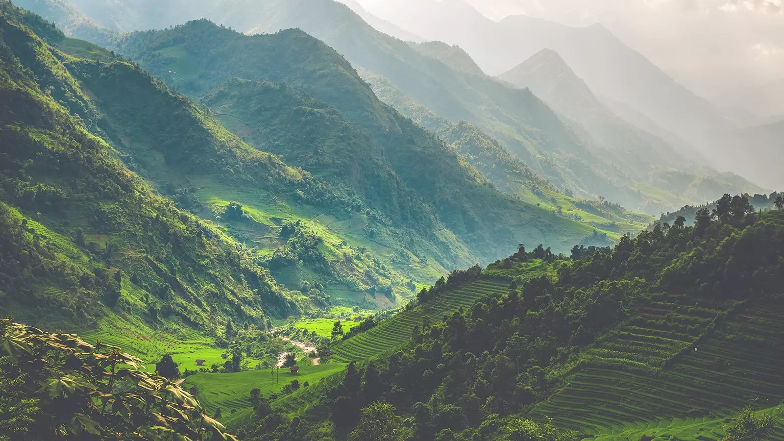 Das intensive Grün von Sapa ist unbeschreiblich