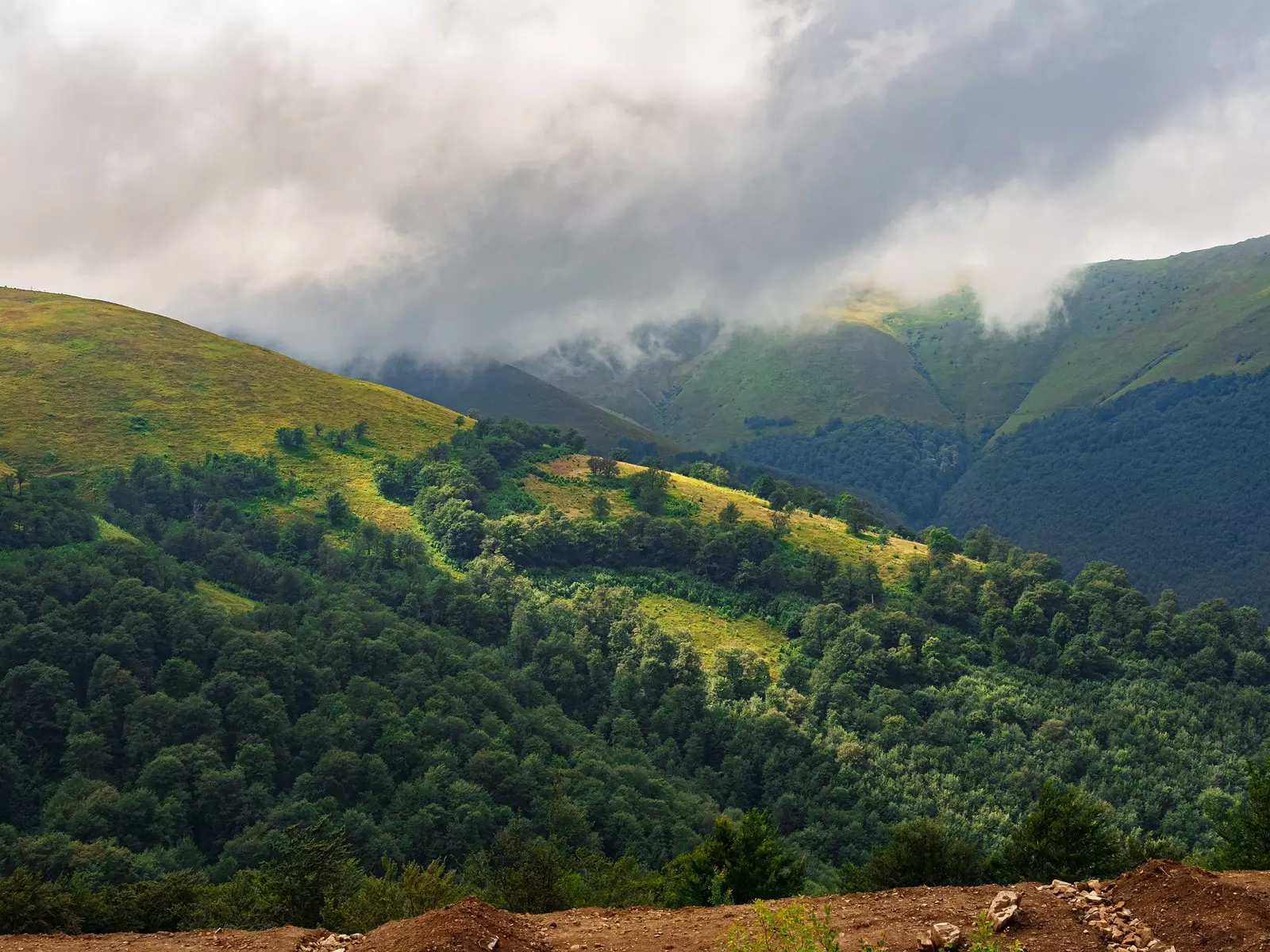 Le parc national des Carpates en Ukraine est le mieux noté de tous ses parcs nationaux.