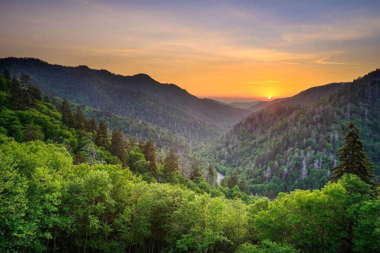 Great Smoky Mountains National Park Tennessee och North Carolina