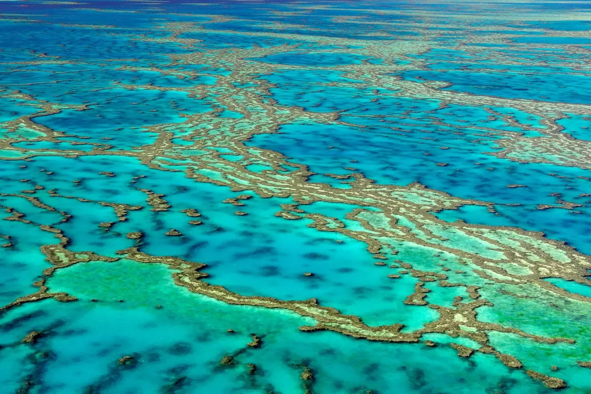 Australias Great Barrier Reef lider av den verste nedgangen til dags dato