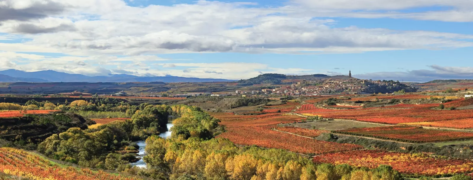 Բրիոնես Լա Ռիոխա