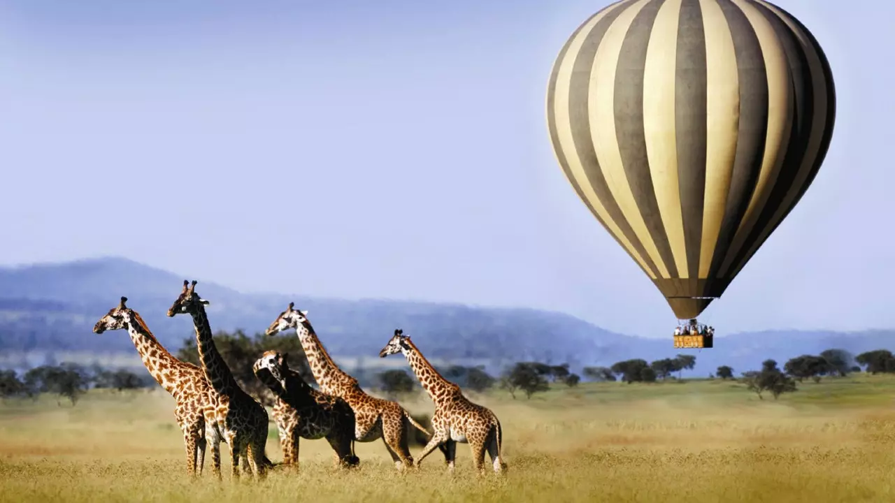 Je slaapt luxe in deze nieuwe duurzame hutten in Masai Mara