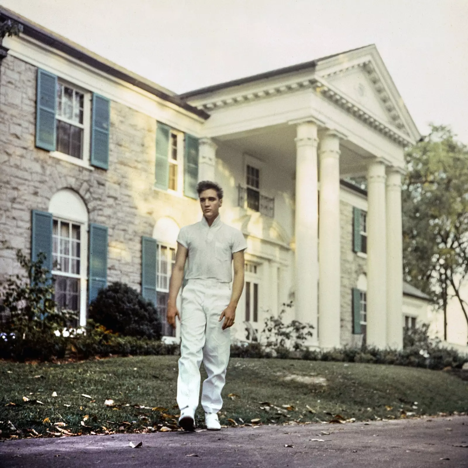 Elvis, Graceland'de